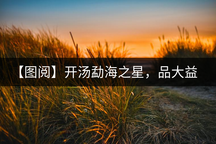 【圖閱】開湯勐海之星,品大益熟茶滋味 【圖閱】開湯勐海之星,品大益熟茶滋味