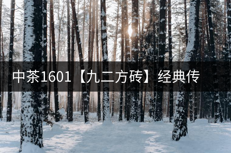中茶1601【九二方磚】經(jīng)典傳承，巔峰即現(xiàn)