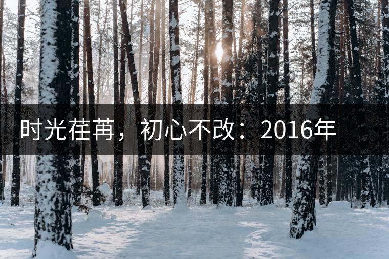 時光荏苒，初心不改：2016年老同志為天下人做好茶開湯