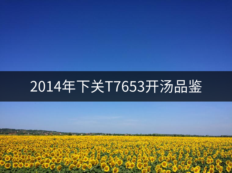 2014年下關T7653開湯品鑒 2014年下關T7653開湯品鑒