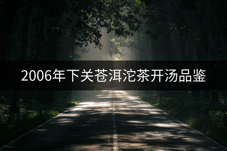 2006年下關蒼洱沱茶開湯品鑒 2006年下關蒼洱沱茶開湯品鑒