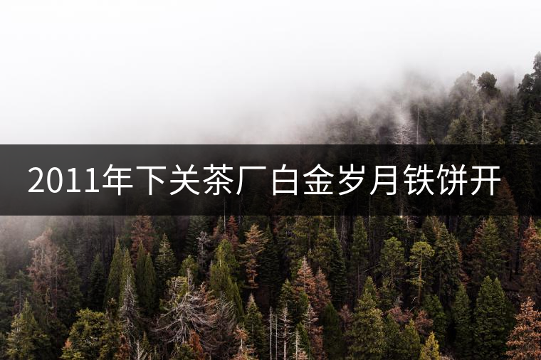 2011年下關茶廠白金歲月鐵餅開湯品鑒 2011年下關茶廠白金歲月鐵餅開湯品鑒