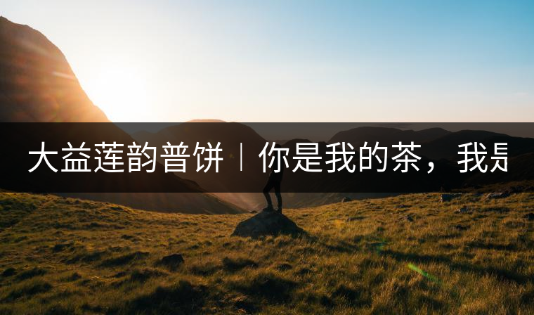 大益蓮韻普餅︱你是我的茶,我是你的人! 大益蓮韻普餅︱你是我的茶,我是你的人!