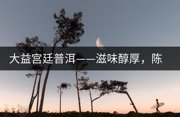 大益宮廷普洱——滋味醇厚,陳香濃郁 大益宮廷普洱——滋味醇厚,陳香濃郁