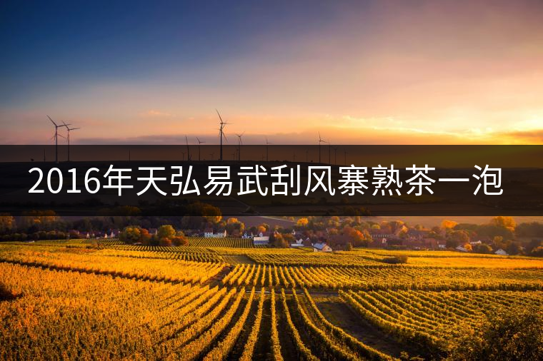 2016年天弘易武刮風(fēng)寨熟茶一泡耐人尋味! 2016年天弘易武刮風(fēng)寨熟茶一泡耐人尋味!