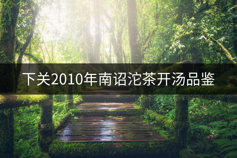 下關2010年南詔沱茶開湯品鑒