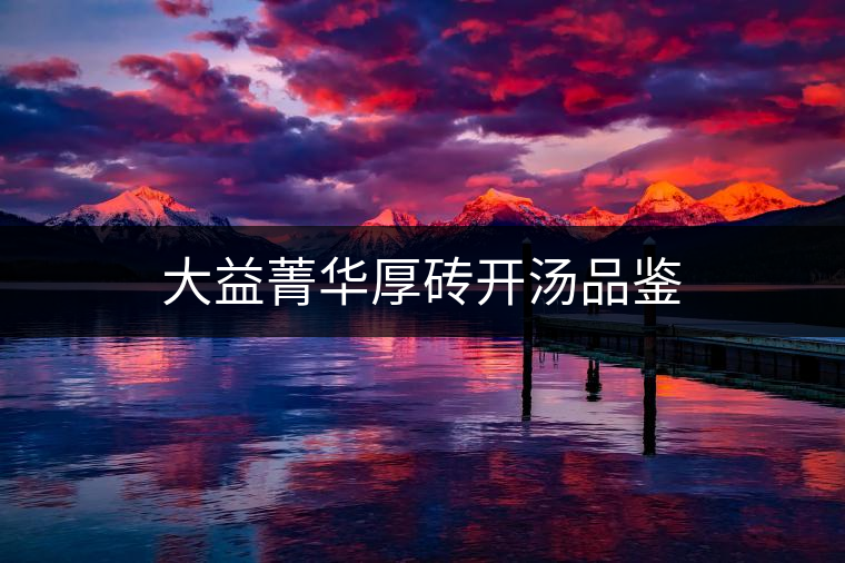 大益菁華厚磚開湯品鑒 大益菁華厚磚開湯品鑒