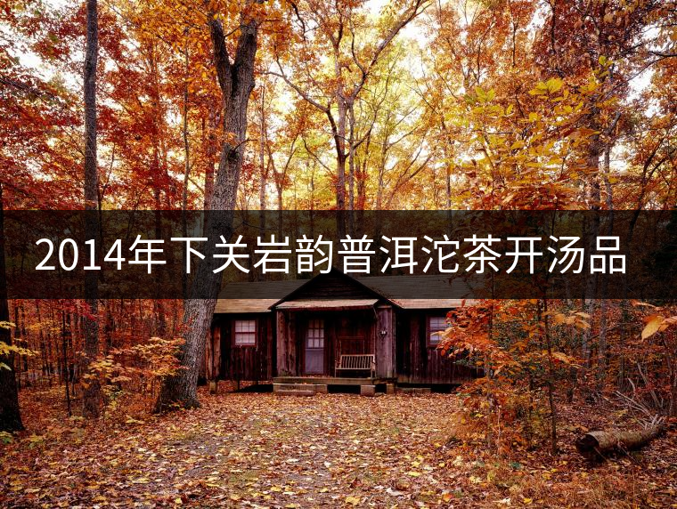 2014年下關巖韻普洱沱茶開湯品鑒 2014年下關巖韻普洱沱茶開湯品鑒