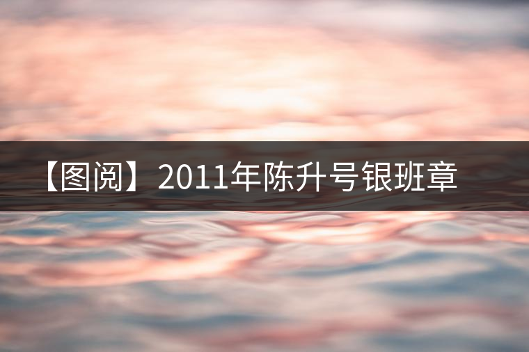 【圖閱】2011年陳升號(hào)銀班章開湯鑒賞 【圖閱】2011年陳升號(hào)銀班章開湯鑒賞
