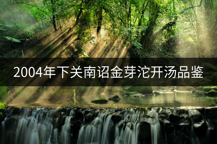 2004年下關南詔金芽沱開湯品鑒 2004年下關南詔金芽沱開湯品鑒