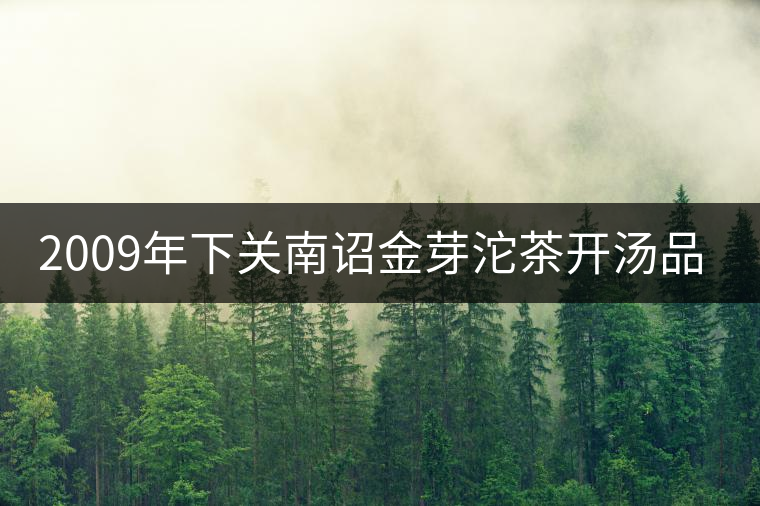 2009年下關南詔金芽沱茶開湯品鑒