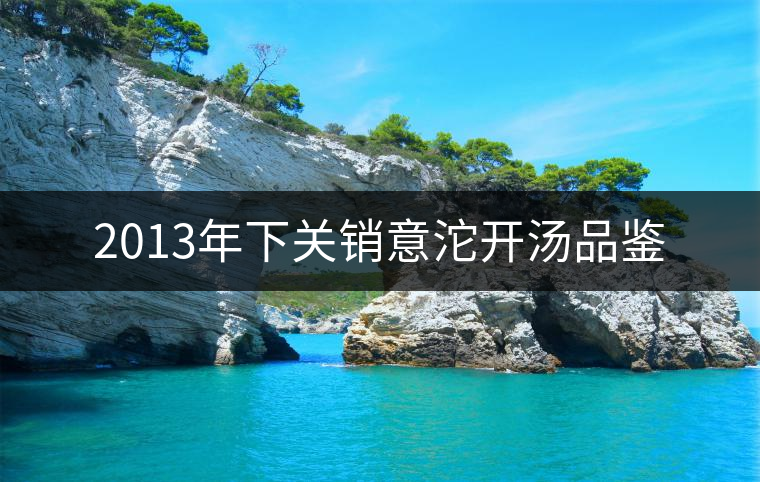 2013年下關銷意沱開湯品鑒 2013年下關銷意沱開湯品鑒