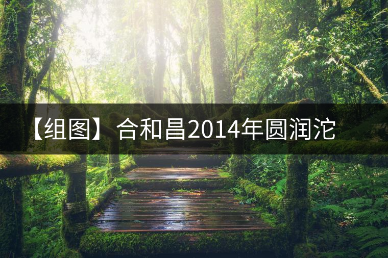 【組圖】合和昌2014年圓潤沱茶開湯