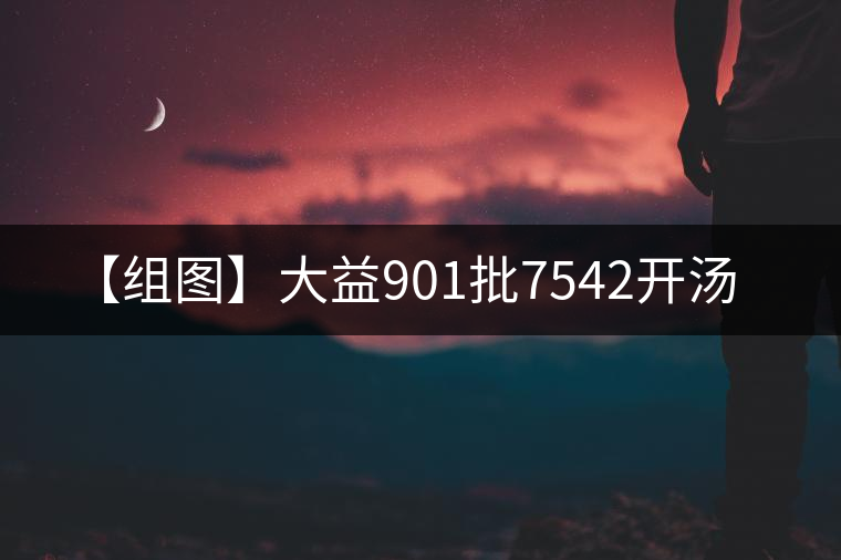 【組圖】大益901批7542開湯 【組圖】大益901批7542開湯