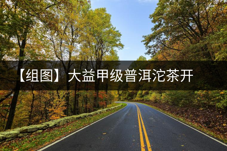 【組圖】大益甲級(jí)普洱沱茶開(kāi)湯