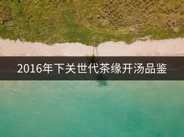 2016年下關世代茶緣開湯品鑒 2016年下關世代茶緣開湯品鑒
