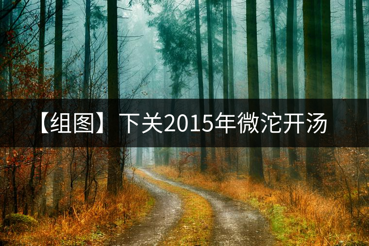 【組圖】下關2015年微沱開湯