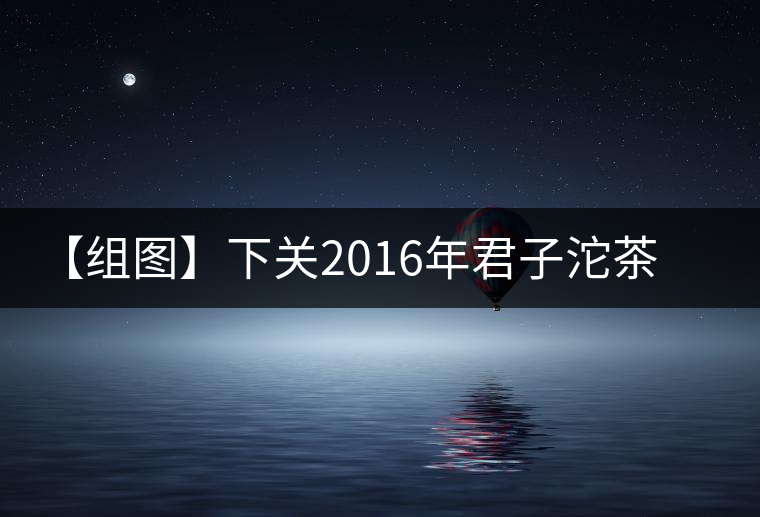 【組圖】下關2016年君子沱茶(易武)開湯 【組圖】下關2016年君子沱茶(易武)開湯