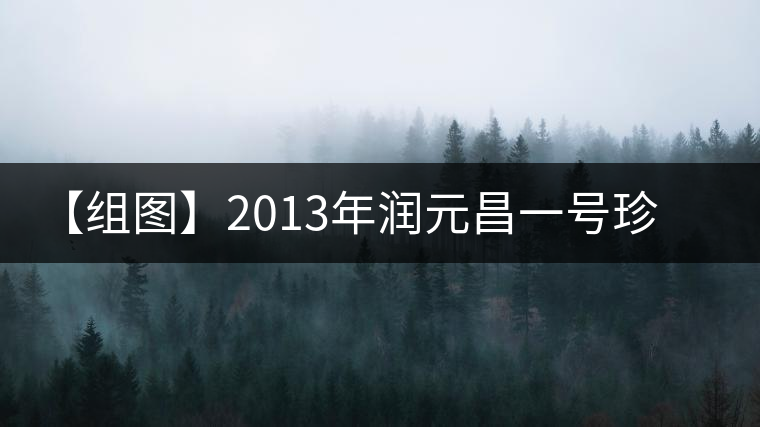 【組圖】2013年潤元昌一號珍藏方磚開湯 【組圖】2013年潤元昌一號珍藏方磚開湯