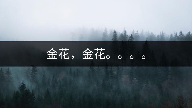金花,金花。。。。 金花,金花。。。。