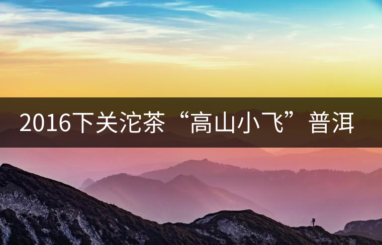 2016下關沱茶“高山小飛”普洱熟茶 2016下關沱茶“高山小飛”普洱熟茶