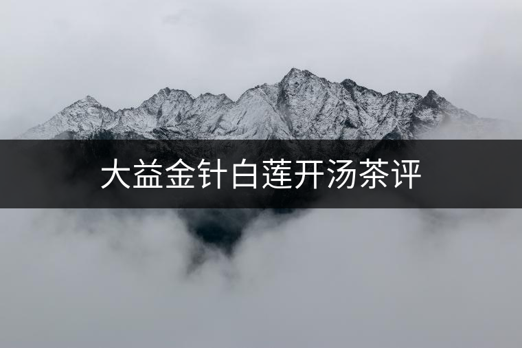 大益金針白蓮開湯茶評