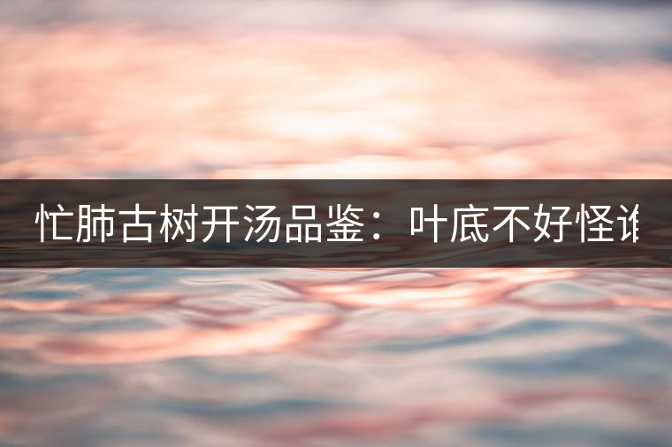 忙肺古樹開湯品鑒:葉底不好怪誰? 忙肺古樹開湯品鑒:葉底不好怪誰?