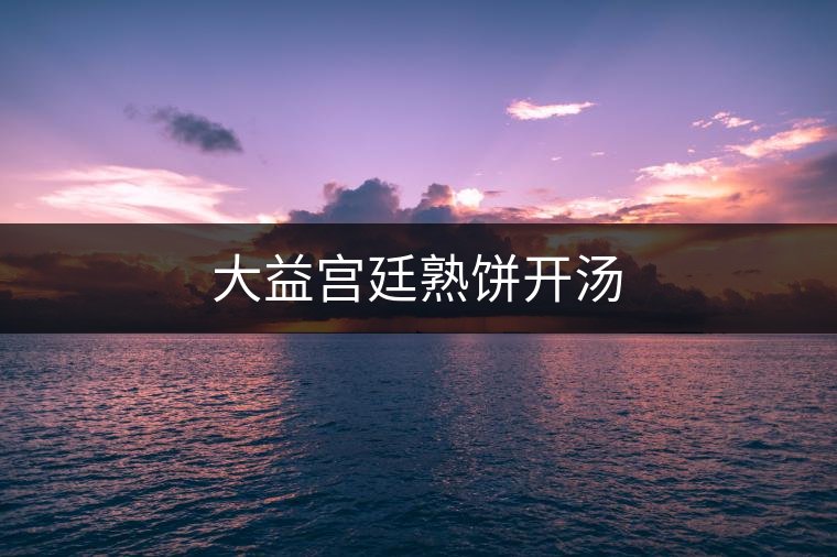 大益宮廷熟餅開湯