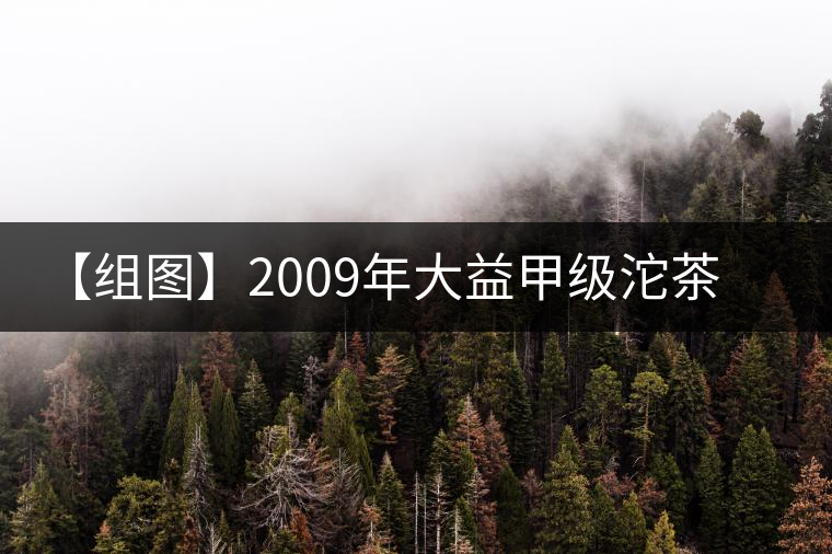 【組圖】2009年大益甲級沱茶開湯 【組圖】2009年大益甲級沱茶開湯