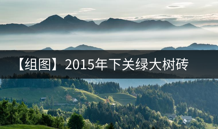 【組圖】2015年下關綠大樹磚茶開湯 【組圖】2015年下關綠大樹磚茶開湯
