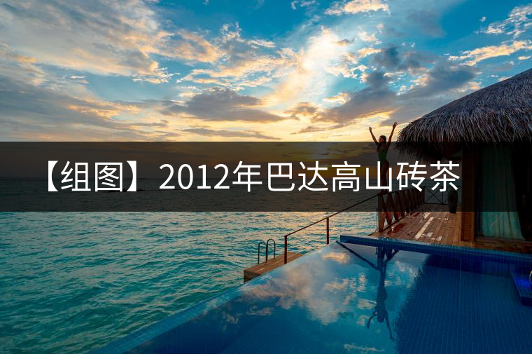 【組圖】2012年巴達高山磚茶開湯 【組圖】2012年巴達高山磚茶開湯