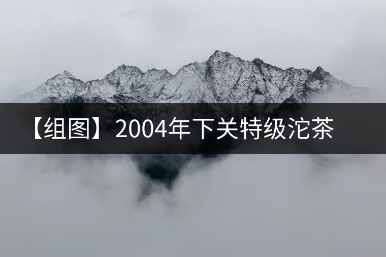 【組圖】2004年下關特級沱茶開湯