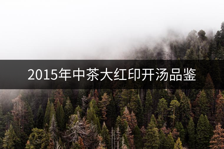 2015年中茶大紅印開湯品鑒