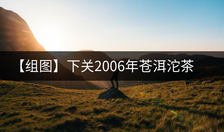 【組圖】下關2006年蒼洱沱茶開湯