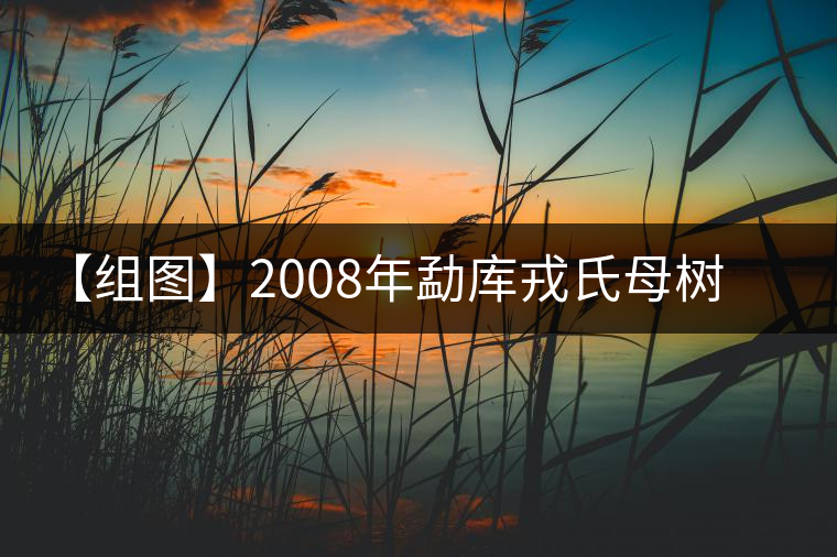 【組圖】2008年勐庫戎氏母樹茶開湯