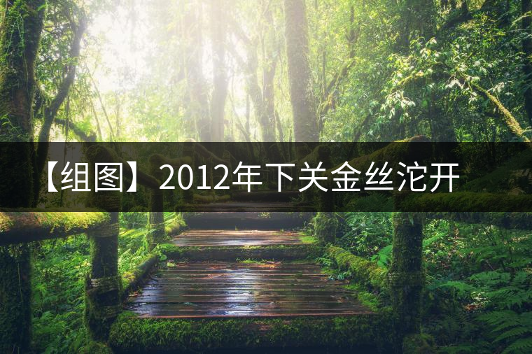 【組圖】2012年下關金絲沱開湯 【組圖】2012年下關金絲沱開湯