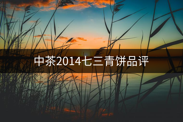 中茶2014七三青餅品評