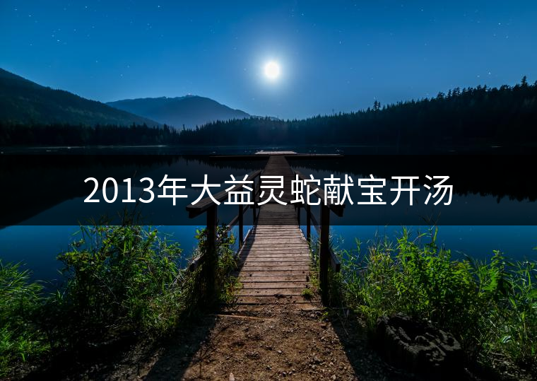 2013年大益靈蛇獻寶開湯