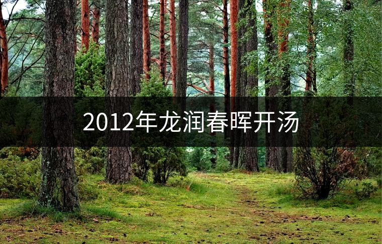 2012年龍潤春暉開湯 2012年龍潤春暉開湯