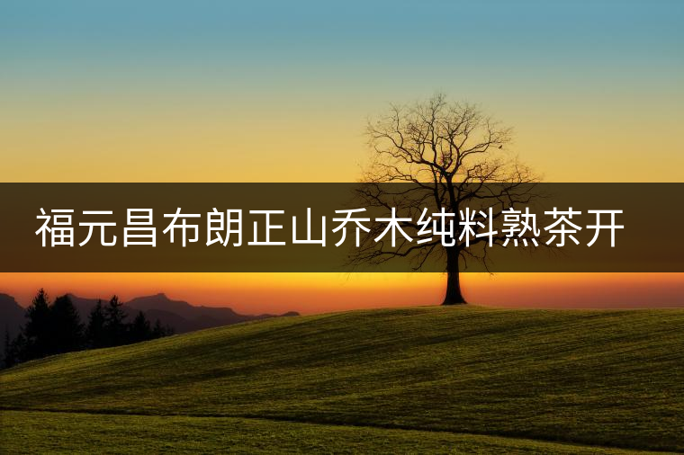 福元昌布朗正山喬木純料熟茶開(kāi)湯 福元昌布朗正山喬木純料熟茶開(kāi)湯