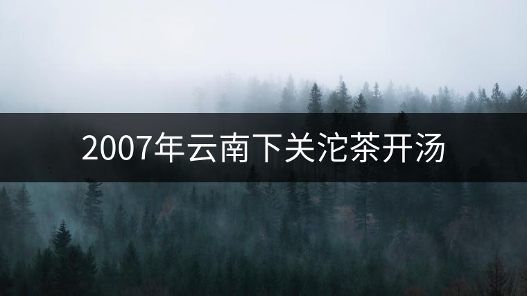 2007年云南下關沱茶開湯 2007年云南下關沱茶開湯