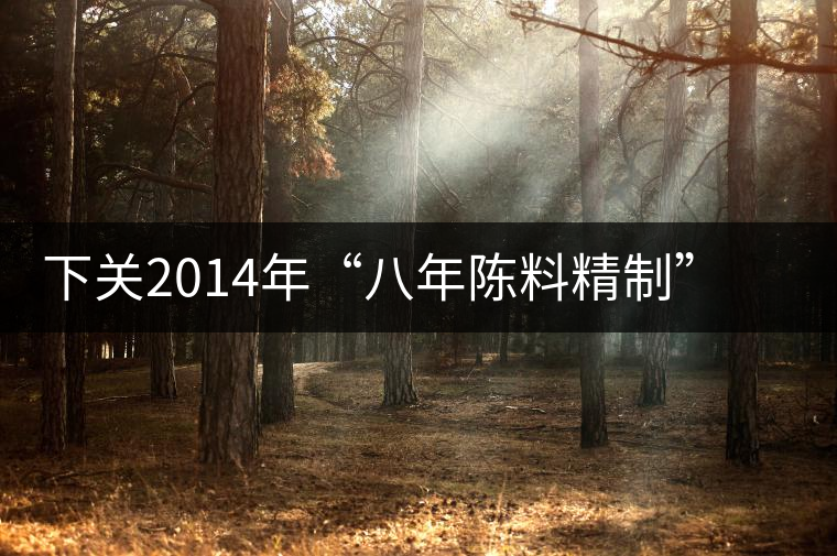 下關(guān)2014年“八年陳料精制”版高原陳開湯