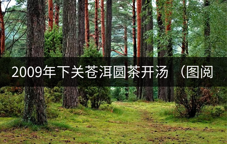 2009年下關蒼洱圓茶開湯 (圖閱) 2009年下關蒼洱圓茶開湯 (圖閱)