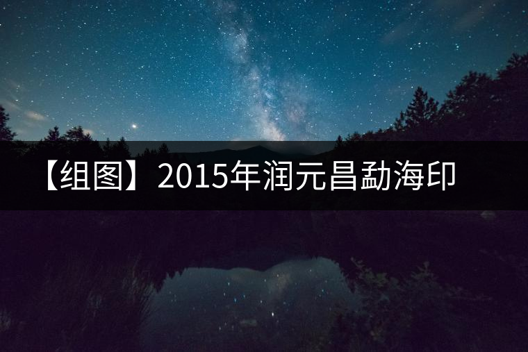 【組圖】2015年潤元昌勐海印象開湯