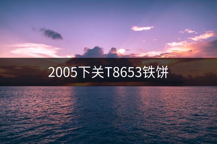 2005下關T8653鐵餅