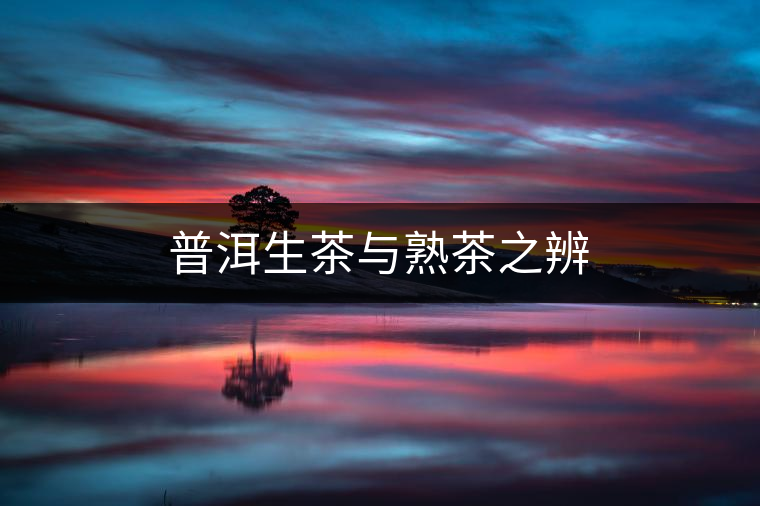 普洱生茶與熟茶之辨