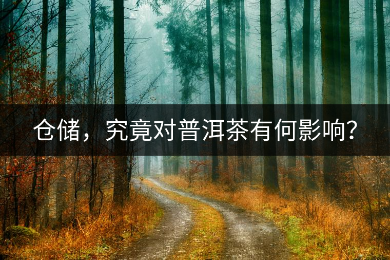 倉儲,究竟對普洱茶有何影響? 倉儲,究竟對普洱茶有何影響?