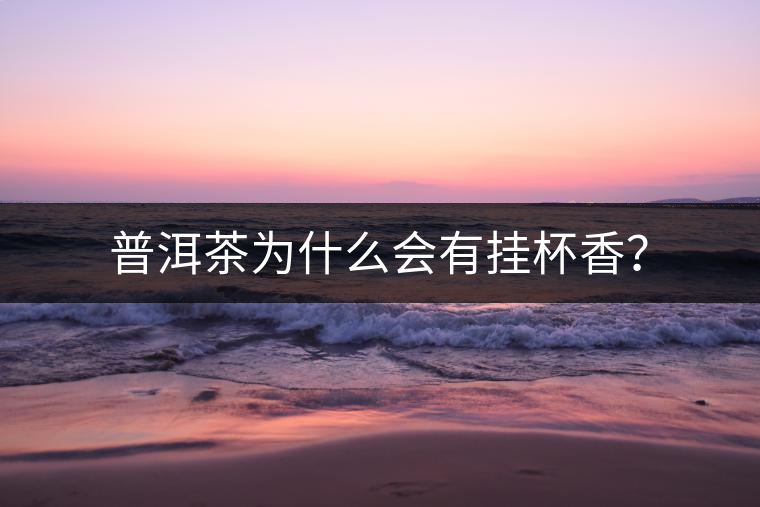 普洱茶為什么會有掛杯香？