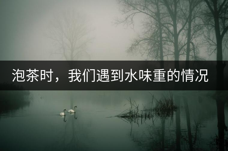 泡茶時，我們遇到水味重的情況是怎么回事呢?