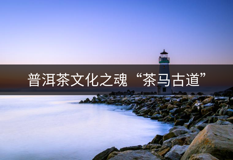 普洱茶文化之魂“茶馬古道”